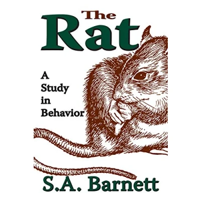 Afbeelding van The Rat