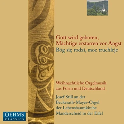Afbeelding van Josef Still Polish Christmas At The Organ (CD)