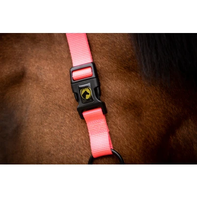 Afbeelding van Excellent Horse Essential Halster XS Mini Foal Roze