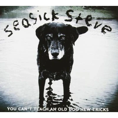 Afbeelding van Seasick Steve You Can&#039;t Teach An Old Dog New Tricks (LP)