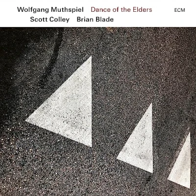 Afbeelding van Brian Blade, Wolfgang Muthspiel, Scott Colley Dance Of The Elders (CD)