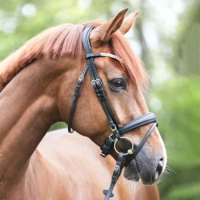 Image de Kavalkade Bride Everlyn Anglais Noir Cob