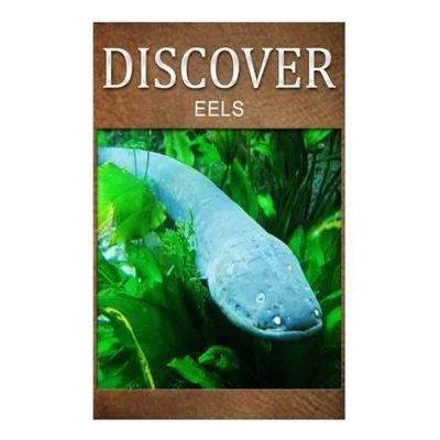 Afbeelding van Eels Discover