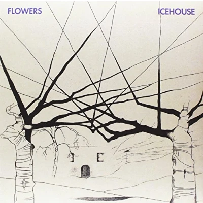 Afbeelding van Icehouse