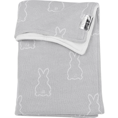 Afbeelding van Meyco Baby X Mrs.Keizer Rabbit velvet wiegdeken silver 75x100cm