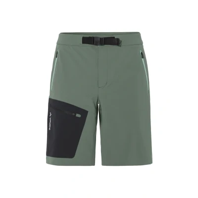 Afbeelding van VAUDE Badile Shorts voor heren