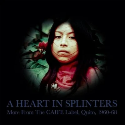 Afbeelding van V/A A Heart In Splinters (2 LPs)