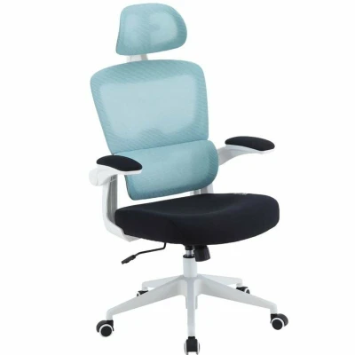 Afbeelding van Gaming stoel Woxter GM26 108