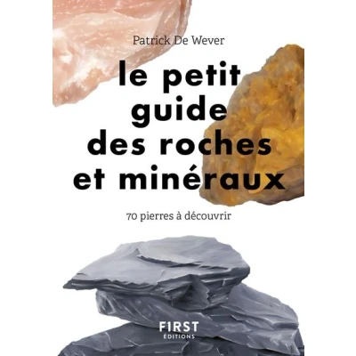 Image de Petit guide des roches et minéraux 70 pierres à découvrir