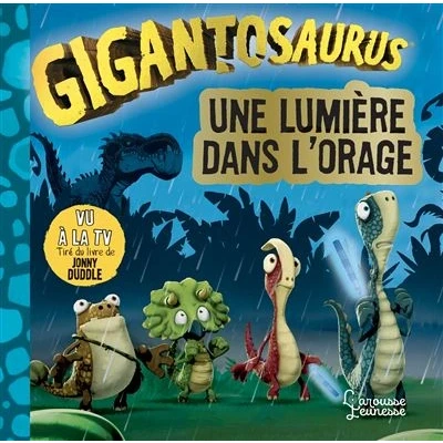 Image de Une lumière dans l&#039;orage