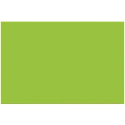 Afbeelding van Tekenpapier Folia A4 lente groen 130grs pak 100 vel