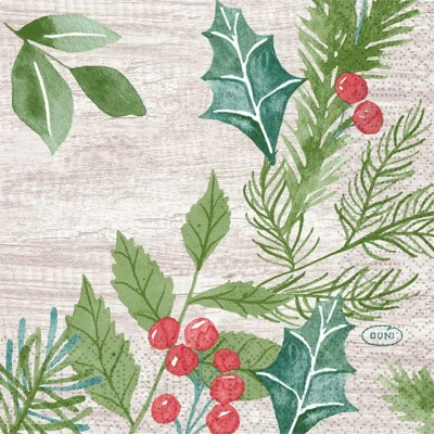 Afbeelding van Servet l24b24 cm wintergreenery 20st Duni