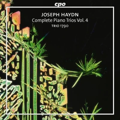 Afbeelding van Haydn: Complete Piano Trios Vol 4 / Trio 1790
