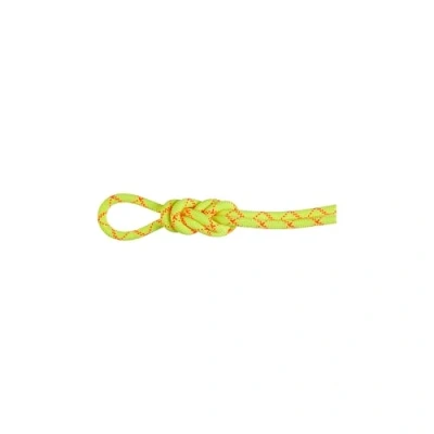 Afbeelding van Mammut Alpine Core Protect Droogtouw, 80 m, m