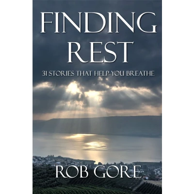 Afbeelding van Finding Rest: 31 Stories That Help You Breathe