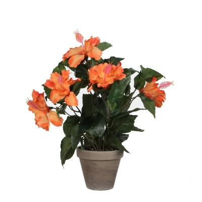Afbeelding van Hibiscus Kunstplant in Bloempot Stan H40 x Ø30 cm Oranje