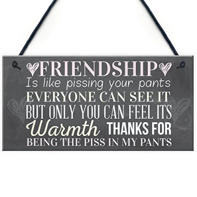 Afbeelding van RED OCEAN Hangbord voor beste vriend, vriendschapscadeau, bedankje, fantasie, verjaardag, shabby chic