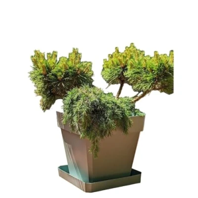 Afbeelding van Bloempot Riviera Bruin 50 x cm
