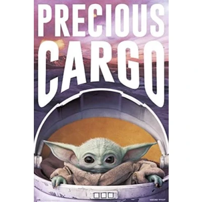 Image de Poster Star Wars The Mandalorian Precious Cargo