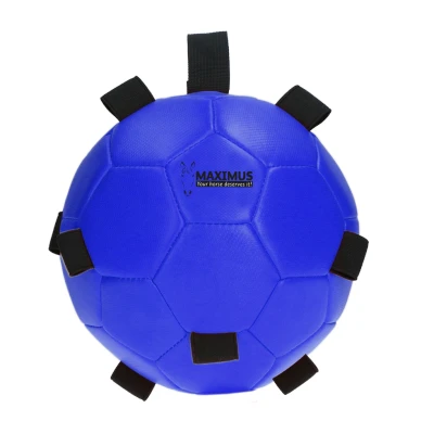 Image de Maximus Fun Play Ball