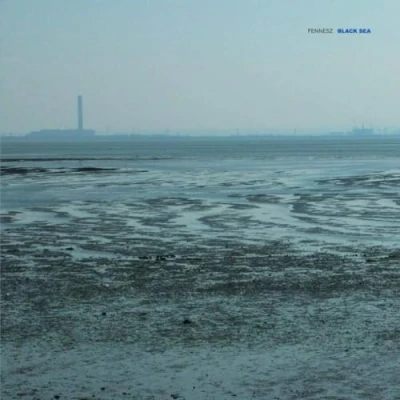 Afbeelding van Fennesz Black Sea (Single)
