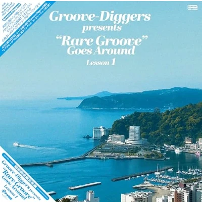 Afbeelding van V/A Groove Diggers: Vinyl Collection Vol.1 (LP)