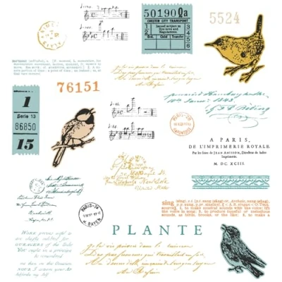 Afbeelding van Sizzix Clear Stamp Set A5 with Framelits Die Bird Song 28pcs