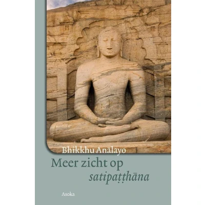 Afbeelding van Meer zicht op satipatthana
