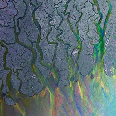 Afbeelding van An Awesome Wave (LP)