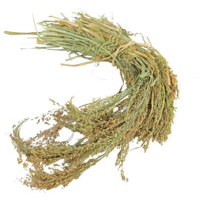 Afbeelding van JR Farm Parel Gierst 100 g