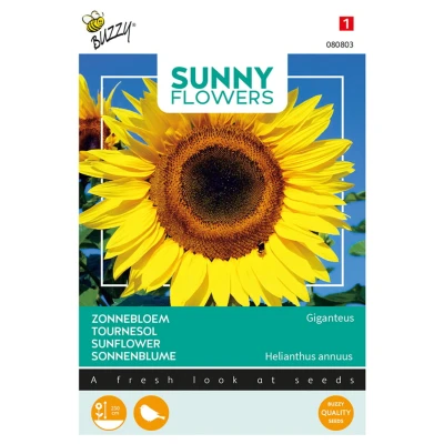 Afbeelding van Buzzy Sunny Flowers Reuzenzonnebloem Giganteus Bloemenzaden 5 g
