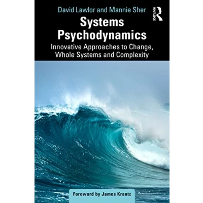 Afbeelding van Systems Psychodynamics