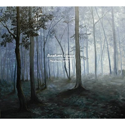 Afbeelding van Bantam Lyons Melatonin Spree (CD)