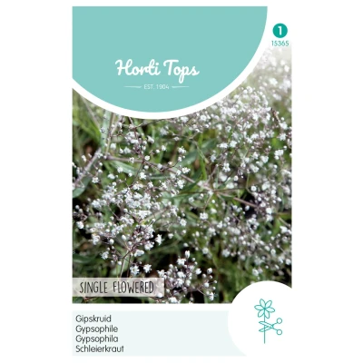 Afbeelding van Gypsophila Panic. Enkelbl. Wit Hortitops