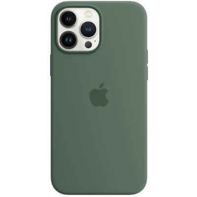 Afbeelding van Apple origineel Silicone MagSafe Case iPhone 13 Pro Max Eucalyptus MN6C3ZM/A