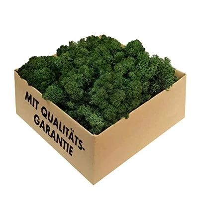Afbeelding van GJS IJslands mos, 1 kg, 500 g of 200 g, verschillende kleuren Geconserveerd, natuurlijk mos (IJslands mos) om mee te knutselen, bijvoorbeeld voor Pasen modelbouw (donkergroen, g)