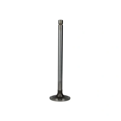 Afbeelding van TRW Engine Component Inlaatklep 105 35648