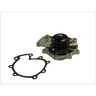Afbeelding van THERMOTEC D1G015TT Waterpomp 3 Met pakking Mechanisch FORD: MONDEO Kombi,