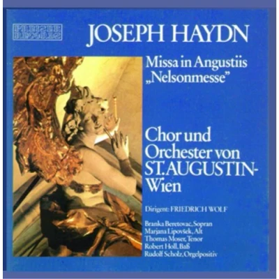 Afbeelding van Marjana Lipovsek, Thomas Moser, Robert Holl, Rudolf Scholz Haydn: Nelsonmesse (CD)