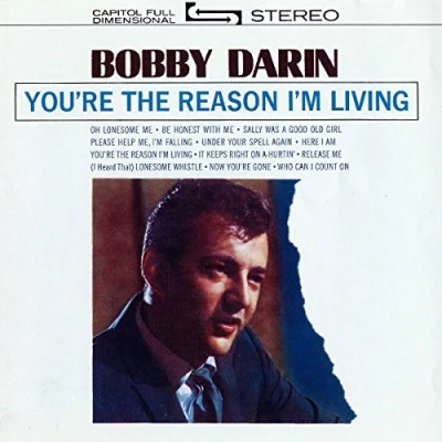Afbeelding van You&#039;re the Reason I&#039;m Living (LP)