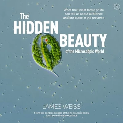 Afbeelding van the Hidden Beauty of Microscopic World