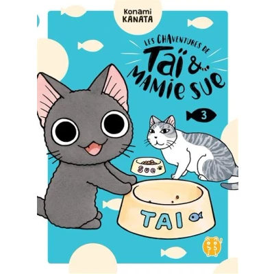 Image de Les Chaventures de Taï et Mamie Sue T03