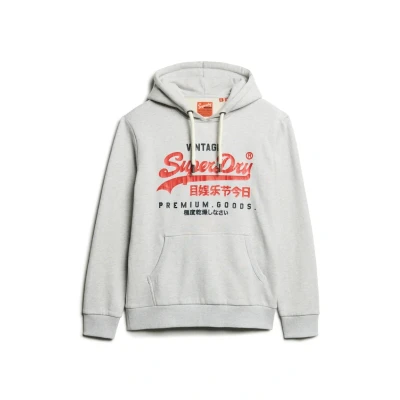 Afbeelding van Superdry Hoodie, Heren, Maat: Large, Hellgrau