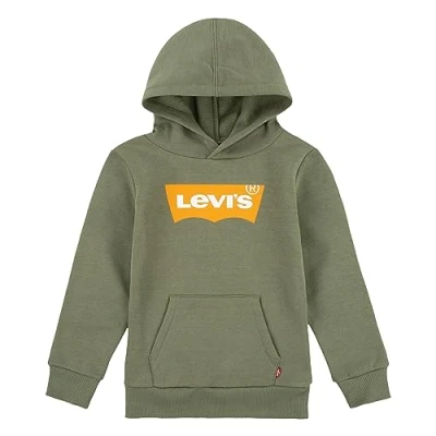 Image de Levi&#039;s Garçon Sweatshirt à capuche Lvb Batwing Screenprint Hoodie, Olivine, 4 ans