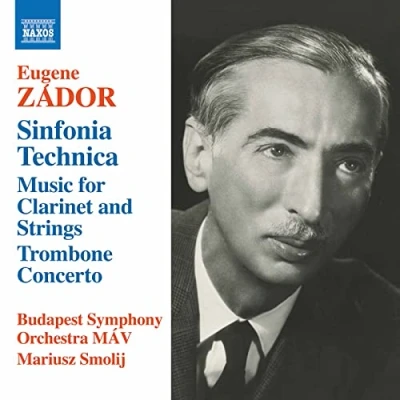 Afbeelding van Budapest Symphony Orchestra MÁV, Mariusz Smolij Zádor: Sinfonia Technica Music For Clarinet And Strings (CD)