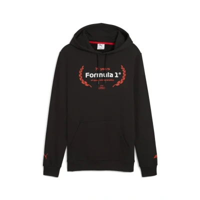 Afbeelding van Puma Essentials LOGO Graphic Hoodie, Heren, Maat: XXL, Black