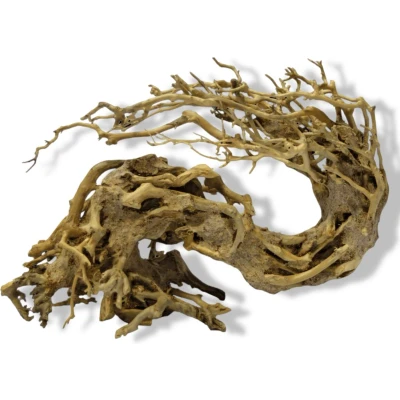 Afbeelding van Superfish Bonsai Wave Medium
