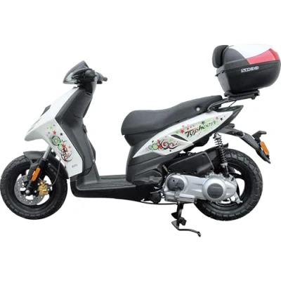 Afbeelding van SHAD Top Master Achter Montage Piaggio Typhoon 50/125