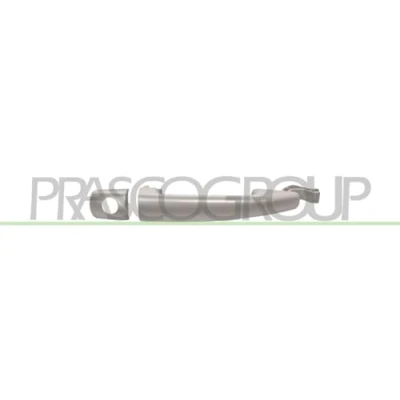 Afbeelding van PRASCO PG7208008 Deurgrepen Buiten, Links voor Zilver CITROËN: C3 II