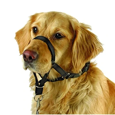 Afbeelding van Kerbl Maxi Coach Zwart 32cm
